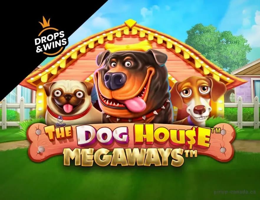playuzucasino-mx-com Gallery 1-15
